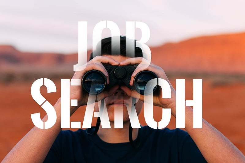 Job search strategies